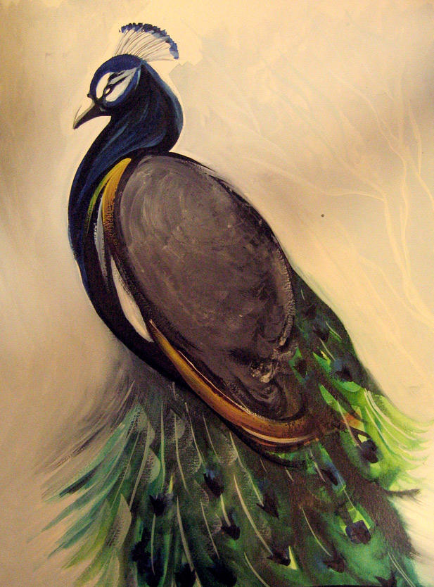 Peacock by SilentReaper