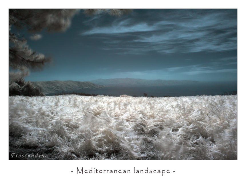 Mediterranean landscape by frescendine