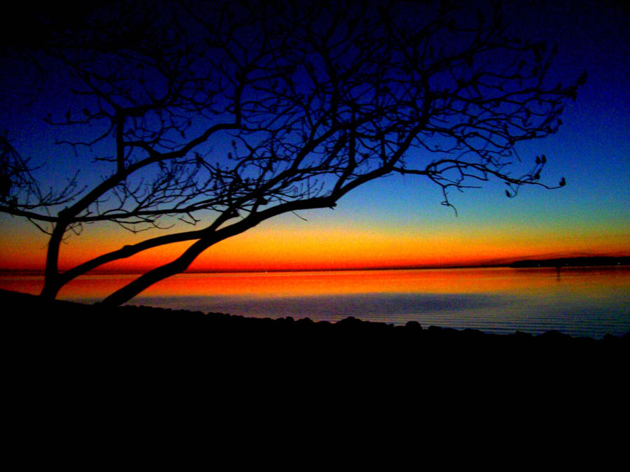 http://fc03.deviantart.com/fs21/i/2007/251/f/3/sunset_by_bygracefromgod9.jpg