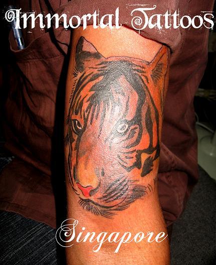 Tiger Tattoo On Face. Tiger Face Tattoo Tiger Tattoo