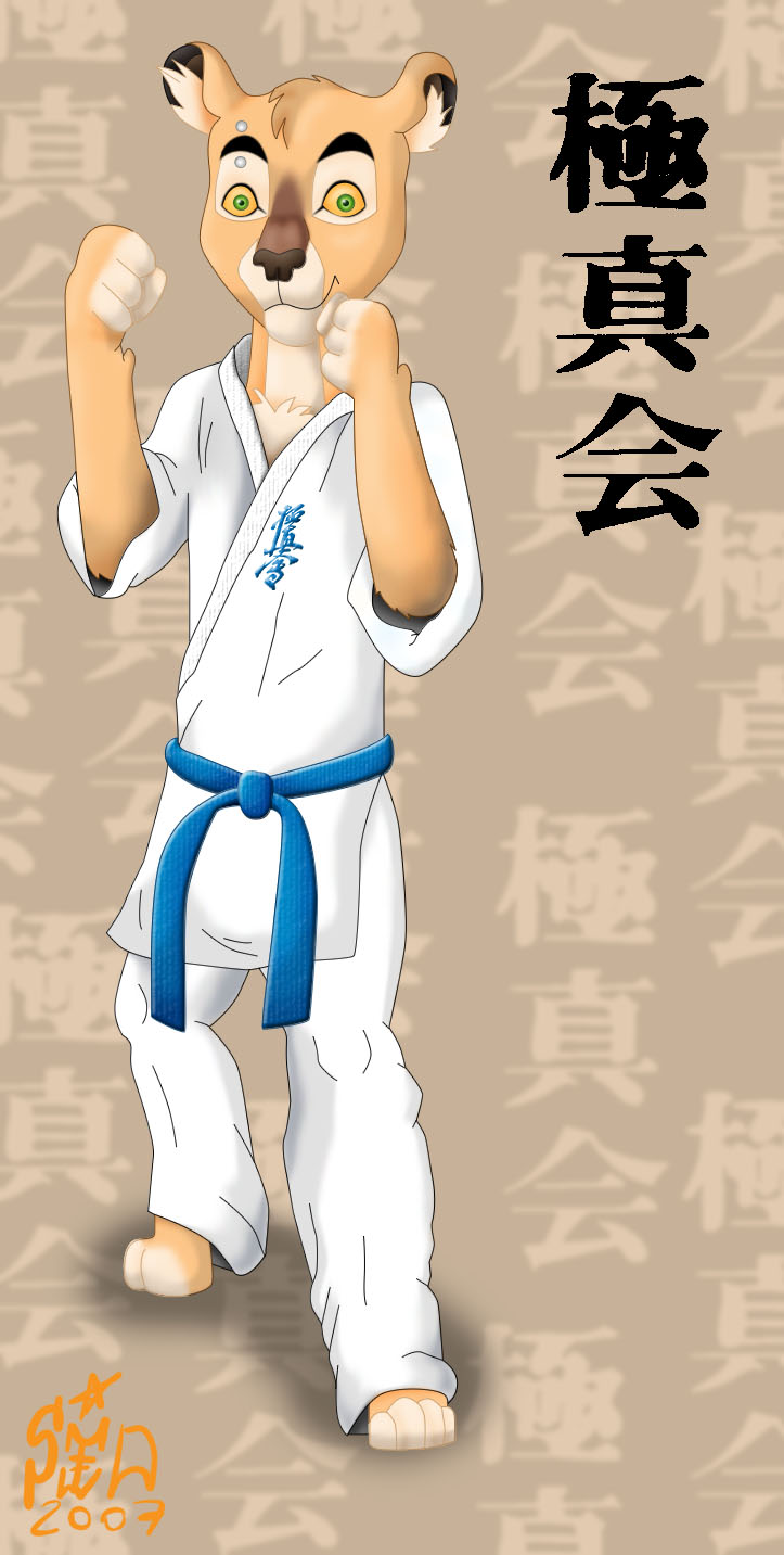 http://fc03.deviantart.com/fs24/f/2007/333/a/a/Karate_by_SiD_Lera.jpg