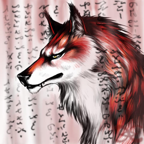 http://fc03.deviantart.com/fs6/i/2005/110/1/7/Anderrera__red_wolf__by_Mutley_the_Cat.jpg