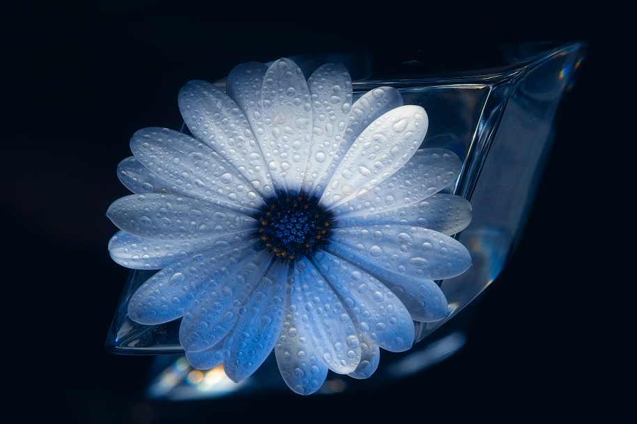 Blue by aquapell